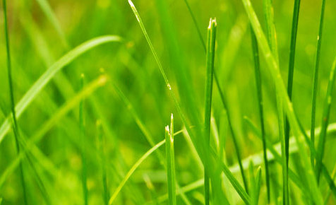 稳定出货渠道的手机号测压app